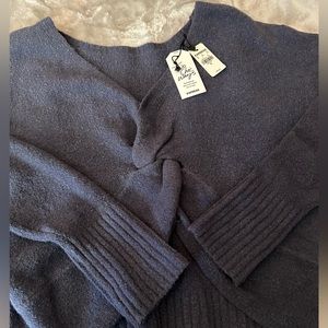 Blue Express sweater